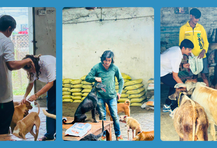 Bringing Joy to Abandoned Animals – An Initiative by Soul Inside Foundation